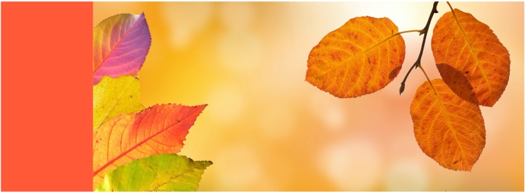 Autumn-Themed Sight Words and Pictures, See and Learn Style